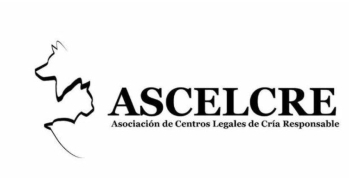 ASCELCRE